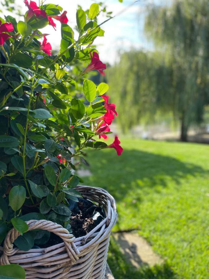 Gemuetliches Fachwerkhaus Am See Mit Kamin Warendorf Exteriér fotografie
