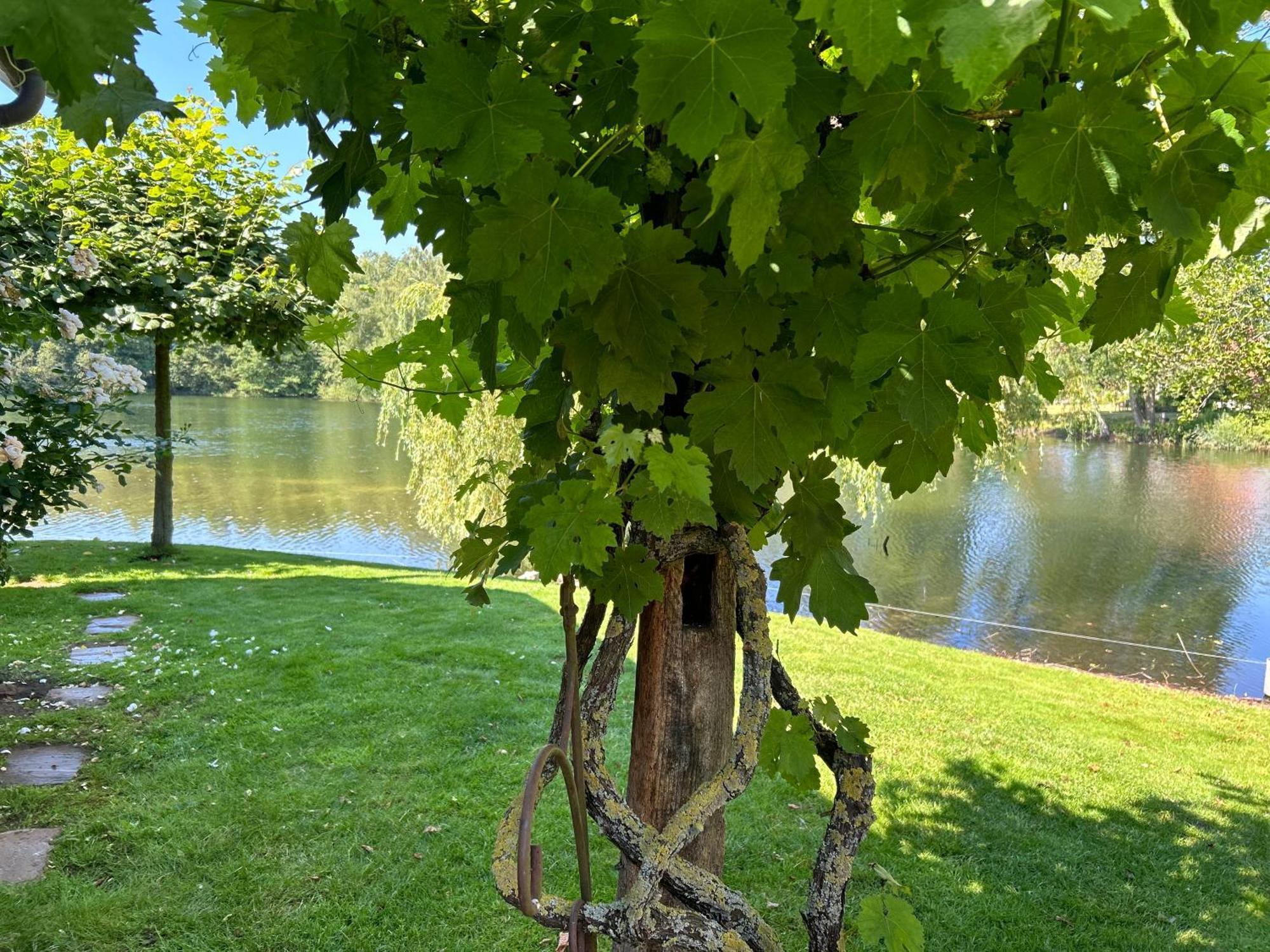 Gemuetliches Fachwerkhaus Am See Mit Kamin Warendorf Exteriér fotografie