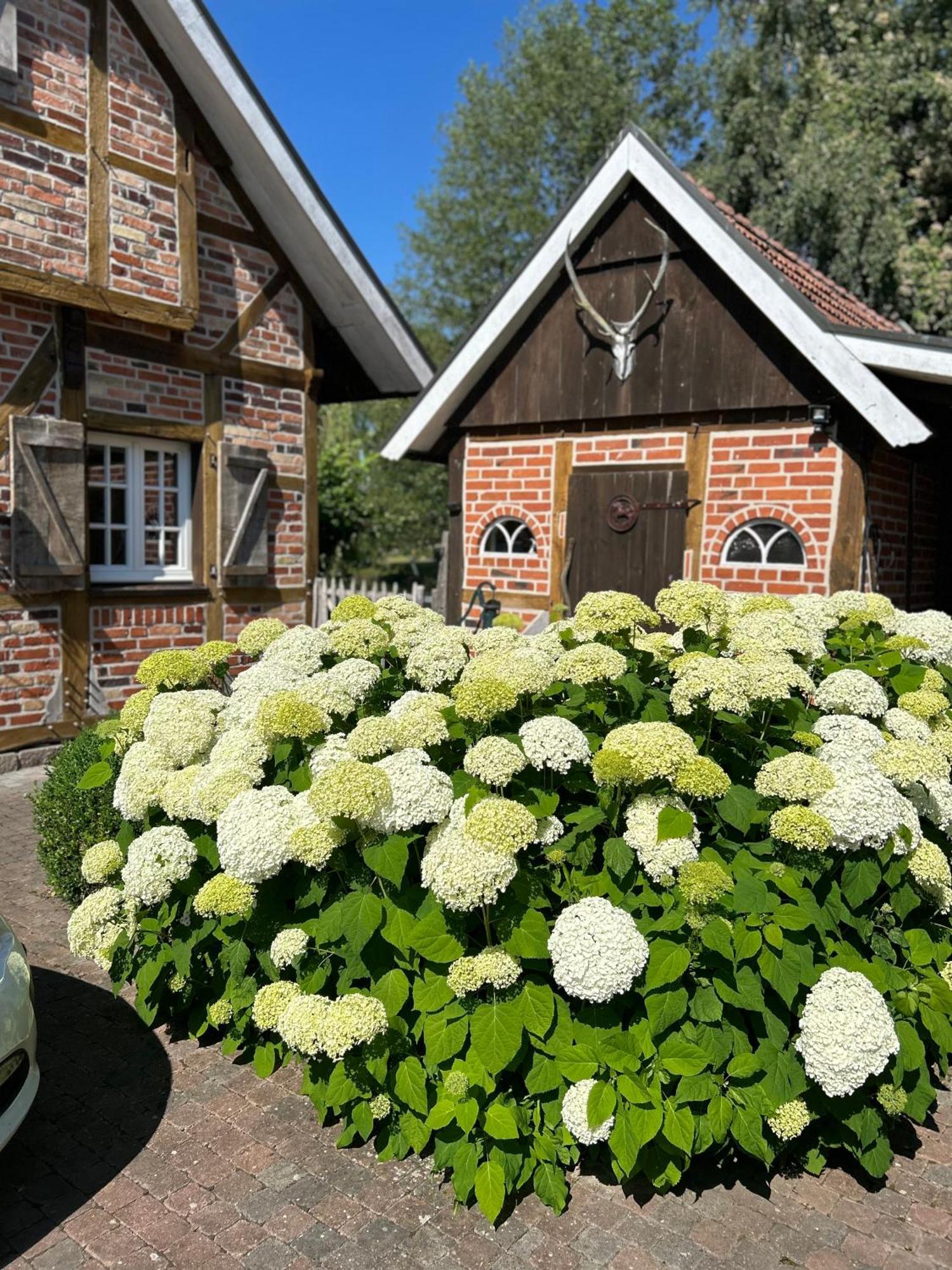 Gemuetliches Fachwerkhaus Am See Mit Kamin Warendorf Exteriér fotografie
